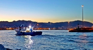 PORTO DI SAN BENEDETTO: SISTEMA DI CONTROLLO PER L&rsquo;ACCESSO FUNZIONANTE E COSTANTEMENTE MONITORATO