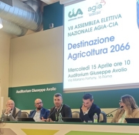 Luca Bianchi, Vice presidente unico vicario di Agia-Cia Nazionale