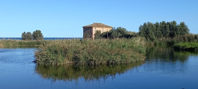 Aree naturali protette, nuovi criteri per la ripartizione dell’anticipo dei contributi di quota fissa e variabile