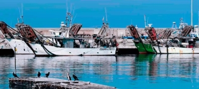 Tragedia al porto di San Benedetto del Tronto, 72enne trovato morto in mare