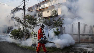 Roccafluvione - Sospetto caso di dengue, allarme nel paese piceno