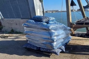 Illeciti nella pesca, Guardia costiera sequestra oltre una tonnellata di vongole
