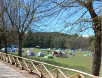 Colle San Marco ad Ascoli Piceno, torna l'iniziativa green per il raduno del 25 aprile