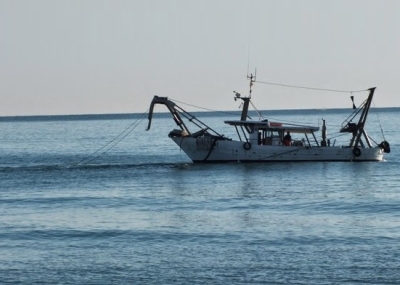Nobili (Avs), 'stop a situazioni illegittime nella pesca delle vongole'