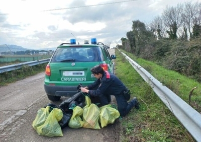 Cimitero clandestino con i resti di almeno 28 animali, indagine per uccisione