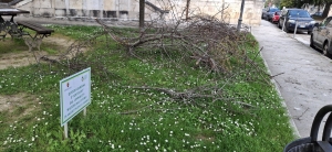 Ascoli Piceno - Il giardino Don Rodilossi vandalizzato dai depositi di sterpaglie