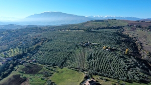 Buoni come l&rsquo;Olio: le famiglie alla scoperta di ambiente, gusto e tradizioni con il FAI