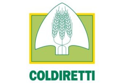 Made in Italy, Coldiretti Marche: “Finalmente l’etichettatura d’origine per tartufi e funghi”
