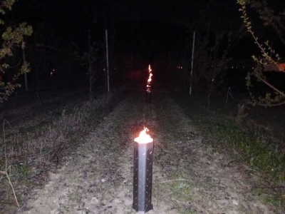 Gelate notturne nelle Marche, spuntano le fiaccole per proteggere le colture