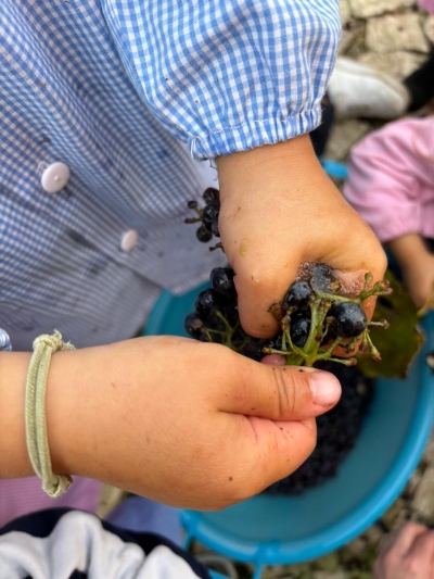 Nella Scuola dell'Infanzia Pio XII arriva il 