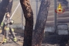Incendio auto sulla A14 si propaga alla vicina vegetazione a Civitanova