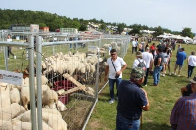 A Piano Roseto di Cortino dal 4 al 6 luglio torna il tradizionale appuntamento con la Fiera della Pastorizia