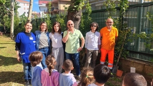 Piante d&rsquo;alloro messe a dimora nei giardini delle scuole cittadine