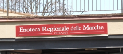Sabato 14 febbraio 2026 la Polisportiva Offida United ha trasformato l&rsquo;Enoteca Regionale delle Marche (Vinea) di Offida in un grande spazio di incontro, convivialit&agrave; e divertimento