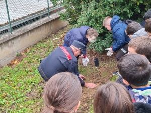 Festeggiata la &ldquo;Giornata Nazionale degli Alberi&rdquo; in tutta al provincia di Teramo