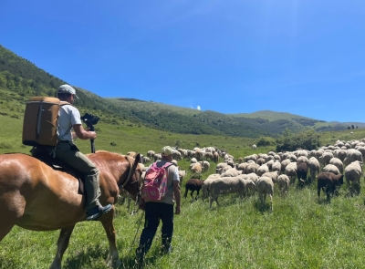 CASTEL DEL MONTE: ANTEPRIMA DOCUMENTARIO 