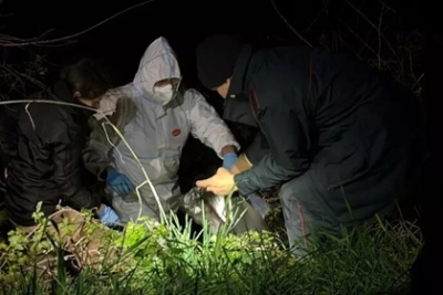 Resti di cani morti trovati nelle Marche, indagato un uomo