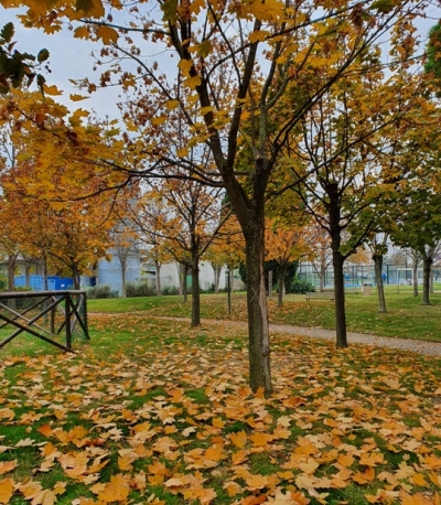 L'Associazione Truentum compie 30 anni