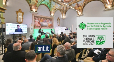 GIORNATA DEDICATA AL FUTURO DELL&rsquo;AGRICOLTURA NELLE MARCHE, STRATEGIE E NUOVI SVILUPPI