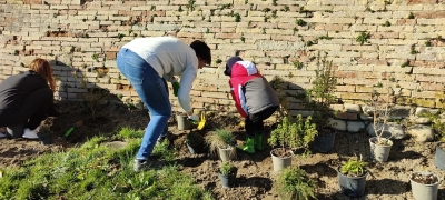MONTALTO DELLE MARCHE: PROGETTO “VERDEBORGO” PER NUOVI MODI DI PENSARE E RIGENERARE IL VERDE URBANO