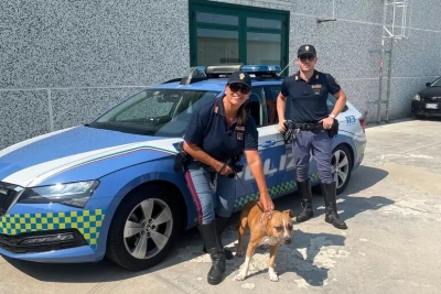 Auto troppo carica in A14 con cane a bordo, scatta la multa