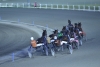 Cresce l&rsquo;attesa per la finale del Campionato Italiano Guidatori Trotto