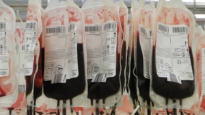 Aggiornamenti per la vicenda Plasma