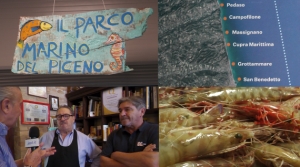 Parco Marino si, Parco Marino no ? Come difendere il territorio marino del Piceno ?