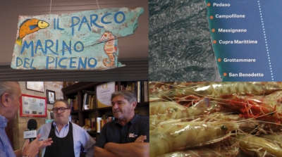 Parco Marino si, Parco Marino no ? Come difendere il territorio marino del Piceno ?