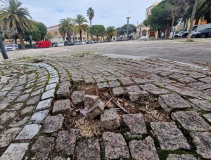 Il Comitato di quartiere Porto D&rsquo;Ascoli Centro sollecita un incontro con il Commissario Prefettizio