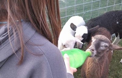 Appignano del Tronto - Una giornata all'insegna della natura per tante famiglie grazie al 