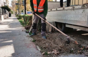 Ascoli Piceno - Abbattimento delle piante in citt&agrave;, esplode la polemica