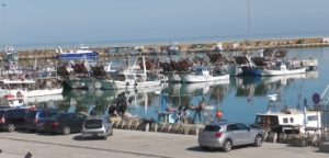 ZES AGRICOLA, ESTESO IL CREDITO D&rsquo;IMPOSTA ALLE IMPRESE MARCHIGIANE