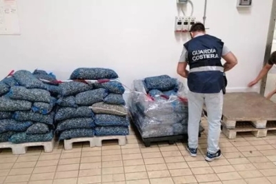 Controlli sulla pesca, sanzioni e sequestri della Guardia Costiera