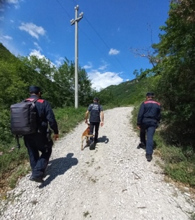 Reati a danno degli animali: il fenomeno degli avvelenamenti