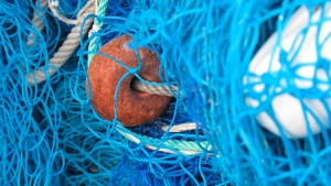 Nuovo decreto pesca. Albano (FdI), attivit&agrave; di pesca possibili anche sabato e domenica