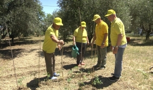Salute e invecchiamento, l&rsquo;agricoltura sociale diventa terapeutica: il progetto Silver Agri Age innovativo e semiresidenziale di Coldiretti, Inrca, Univpm e Centro Internazionale Montessori illustrato in agriturismo