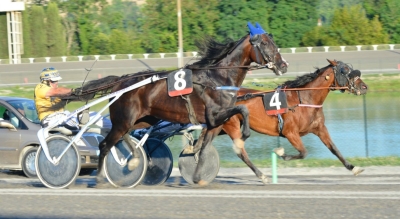 Terza giornata della stagione estiva all&rsquo;ippodromo San Paolo