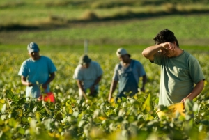 &ldquo;800 voci per la Terra&rdquo;: a Pescina domani riflettori su degrado culturale e dignit&agrave; della terra
