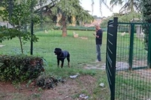 Ascoli Piceno - Aree per cani: nel 2026 ne verranno realizzate in citt&agrave; altre quattro