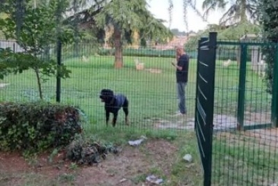 Ascoli Piceno - Aree per cani: nel 2026 ne verranno realizzate in città altre quattro