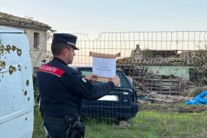 Scoperta fattoria dell'orrore a Montecarotto, animali tra letame e scorie