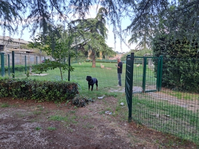 Ascoli Piceno - Aree per cani nel degrado, i cittadini chiedono al Comune di intervenire