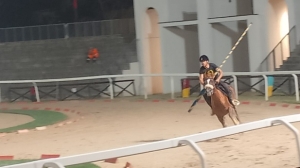Ascoli Piceno - Quintana di luglio, cavalieri pronti: ecco quali cavalli sceglieranno per la giostra di sabato