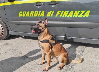 Controlli interforze sulla costa fermana, il cane Fancy fiuta la droga