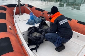 Sequestri e multe con operazione "e-FISHING" Guardia costiera