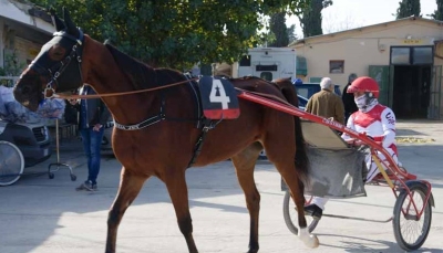 L’ippodromo “San Paolo” inaugura la stagione 2025 del Trotto