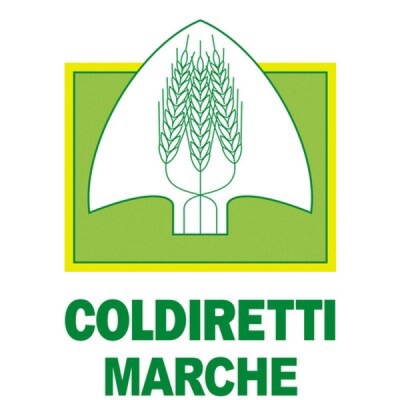 Coldiretti Marche, un terzo del pil agricolo arriva dalle attività secondarie: 
