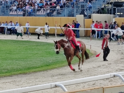 Ascoli Piceno - Quintana, colpo di scena a Porta Maggiore: salta Coppari, Rauco nuovo cavaliere