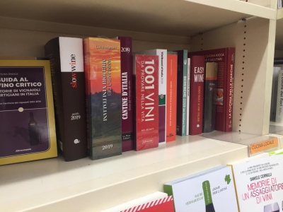 Coldiretti Marche, vino: “Qualità riconosciuta a suon di premi, riflettori per tutta la regione”